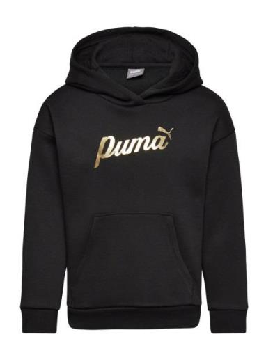 PUMA Ess+ Script Metallic Hoodie Fl G Svart