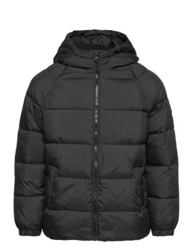 Mango Hood Quilted Coat Svart