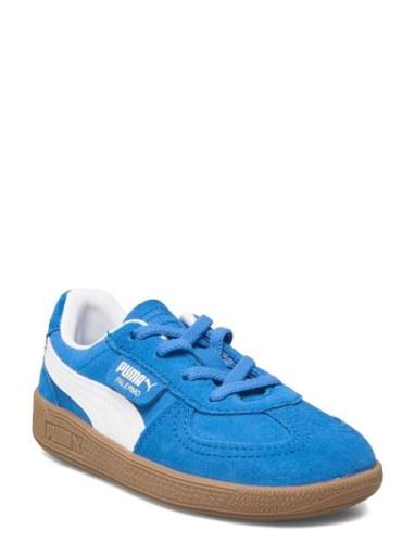 PUMA Palermo Ac Inf Blå