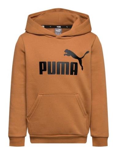 PUMA Ess Big Logo Hoodie Fl B Brun