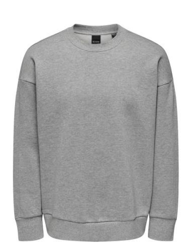 ONLY & SONS Onsdan Life Rlx Heavy Sweat Crew Grå