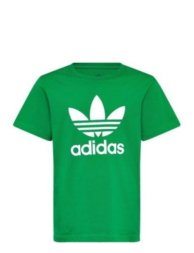 Adidas Originals Trefoil Tee Grön