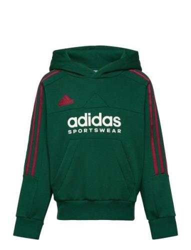 Adidas Sportswear J Np Hoodie Grön