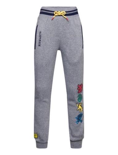 Harry Potter Pantalon Grå