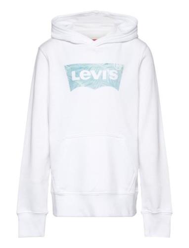 Levi's Lvb Palm Batwing Fill Hoodie / Lvb Palm Batwing Fill Hoodie Vit