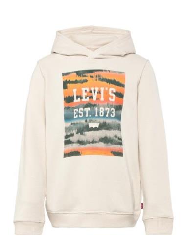 Levi's Lvb Landscape Box Hoodie / Lvb Landscape Box Hoodie Kräm