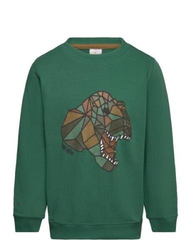 The New Tnlazaron Sweatshirt Grön