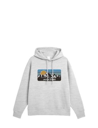 Jack & J S Jjpeak Sweat Hood Ln Grå