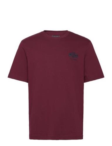 Tommy Hilfiger Small Crest Embro Tee Burgundy