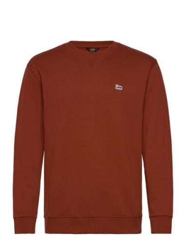 Lee Jeans Plain Crew Sws Orange