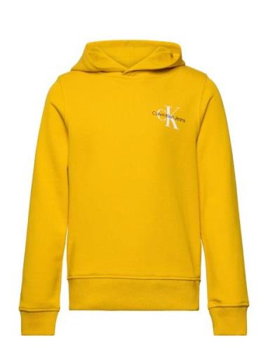 Calvin Klein Small Monogram Hoodie Gul