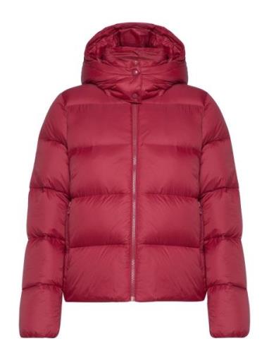 Calvin Klein Jeans Mw Down Short Puffer Rosa