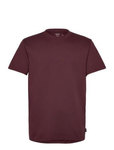 Hollister Hco. Guys Knits Burgundy