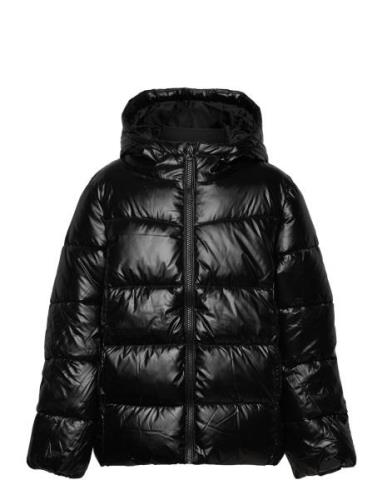 LMTD Nlnmaya Puffer Jacket Svart