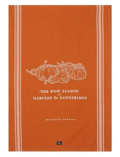 Lexington Home Harvest & Gatherings Org Cotton Kitchen Towel Orange