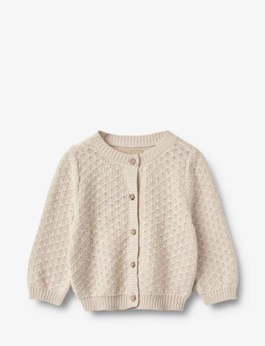 Wheat Knit Cardigan Magnella Beige