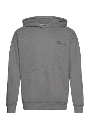 HALO Halo Essential Hoodie Grå