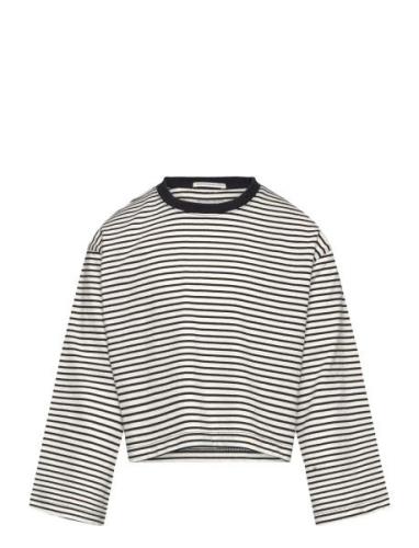 Tom Tailor Cropped Striped Longsleeve Grå