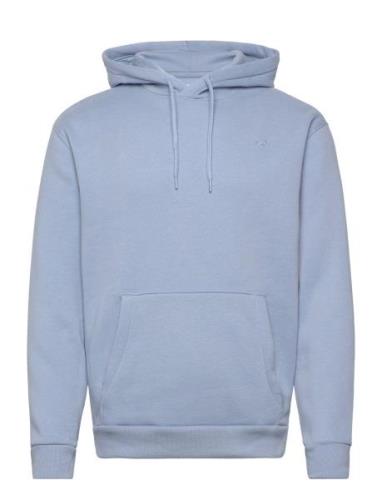 Hollister Hco. Guys Sweatshirts Blå