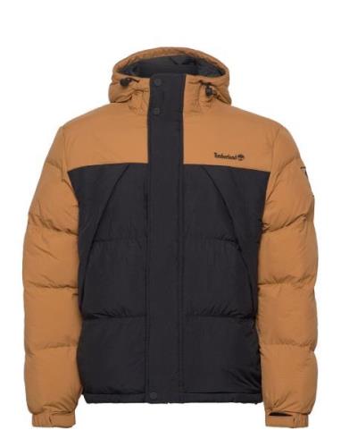 Timberland Durable Water Repellent Puffer Jacket Wheat Boot/Black Svar...