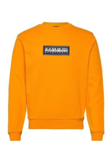 Napapijri Box Logo Sweatshirt Orange