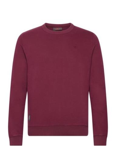 Morris Brandon Lily Washed Sweatshirt Burgundy