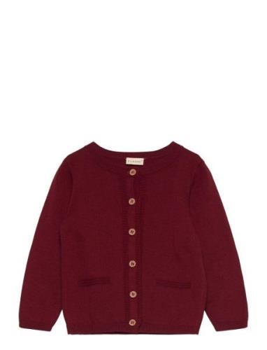 Fixoni Cardigan Knit Burgundy