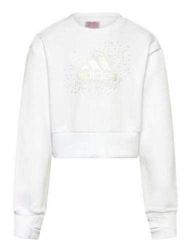 Adidas Sportswear Jg Glm Crew Vit