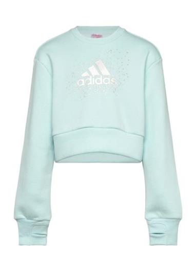 Adidas Sportswear Jg Glm Crew Blå