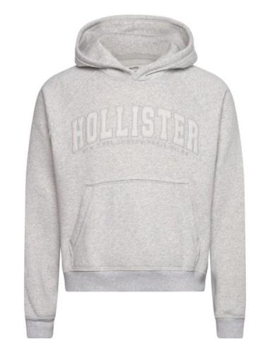 Hollister Hco. Guys Sweatshirts Grå