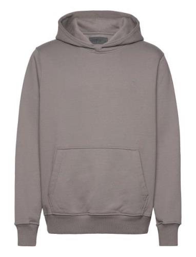 Abercrombie & Fitch Anf Mens Sweatshirts Grå