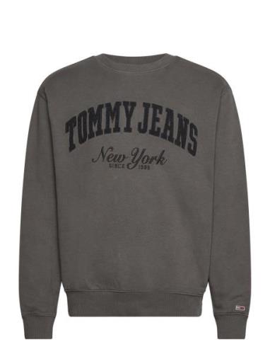 Tommy Jeans Tjm Rlx Vintage Varsity Crew Grå